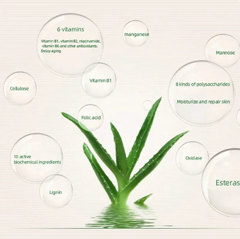 Aloe Vera Essence Pressed Powder Oil Control Long Lasting Matte Setting Face Makeup Cosmetic